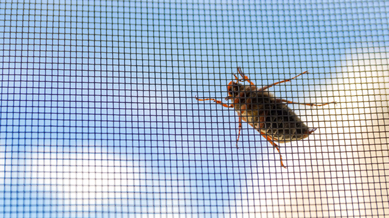25 Mech Insectnet Tül