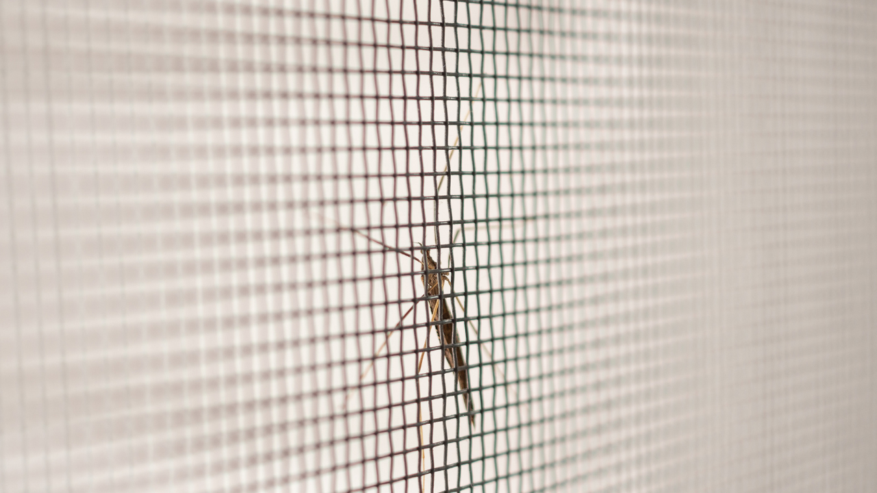 40 Mech Insectnet Tül